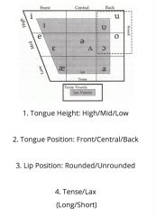 Vowels Flashcards Memorang