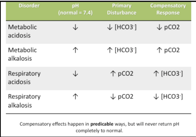 Acid/Base Flashcards Memorang