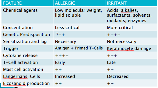 Irritant VS. Allergic Contact Dermatitis: What's the Difference