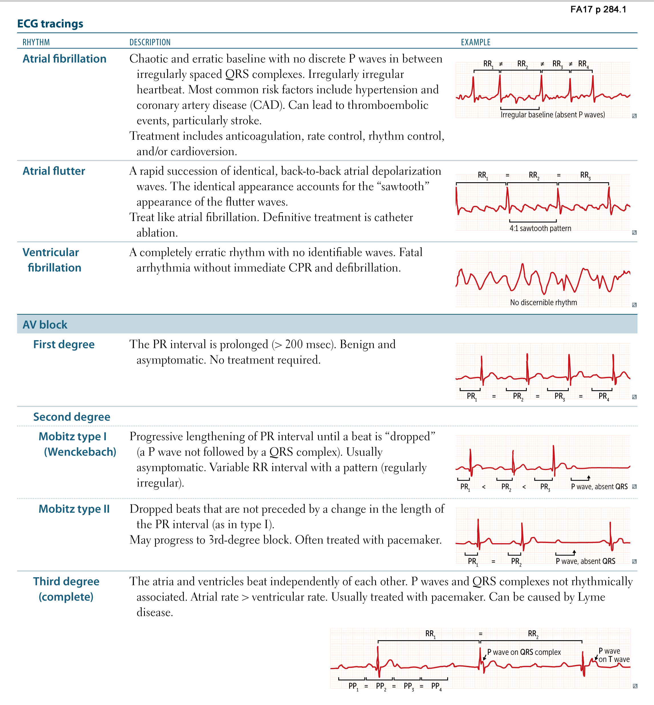 Cardiac Muscle And Electrical Activity Anatomy And