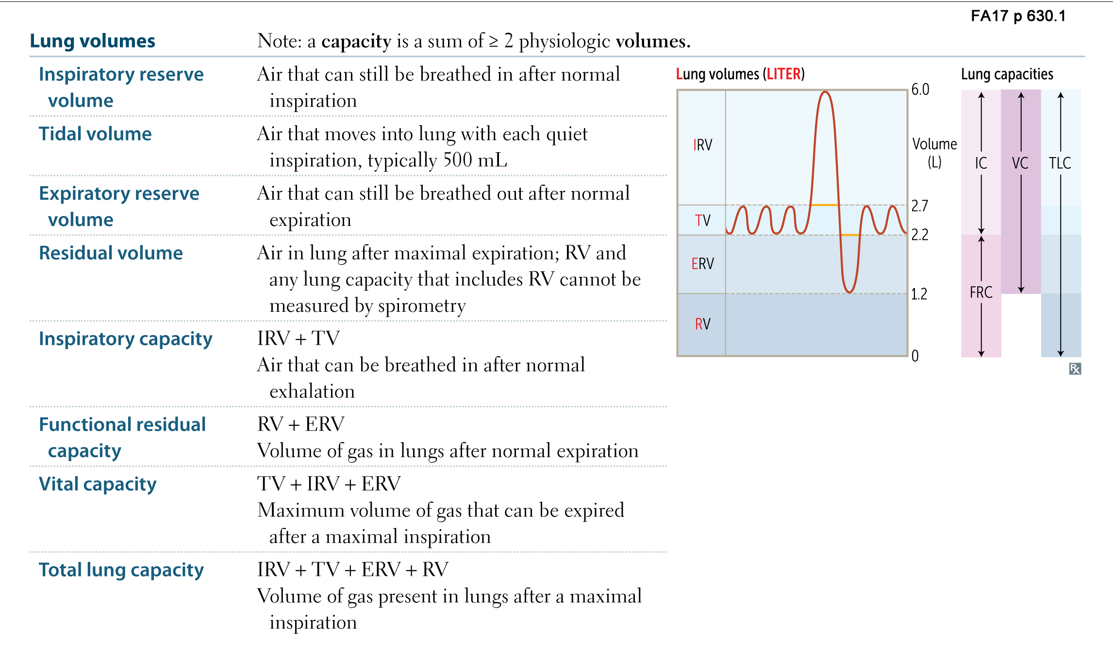 Respiratory Physiology Lung Volumes Flashcards Memorang