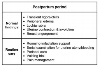 Postpartum Period Flashcards | Memorang