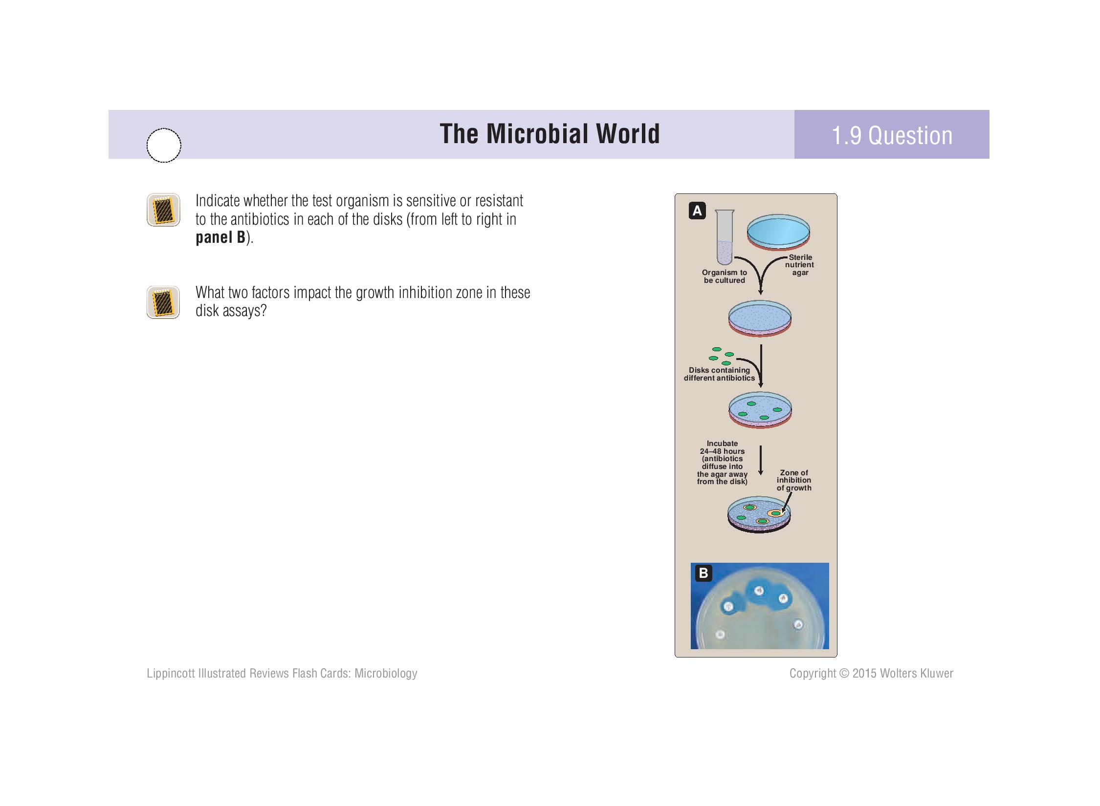 Microbiology Flashcards | Memorang