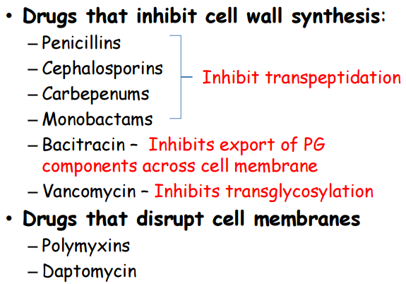 Antibiotics Flashcards | Memorang