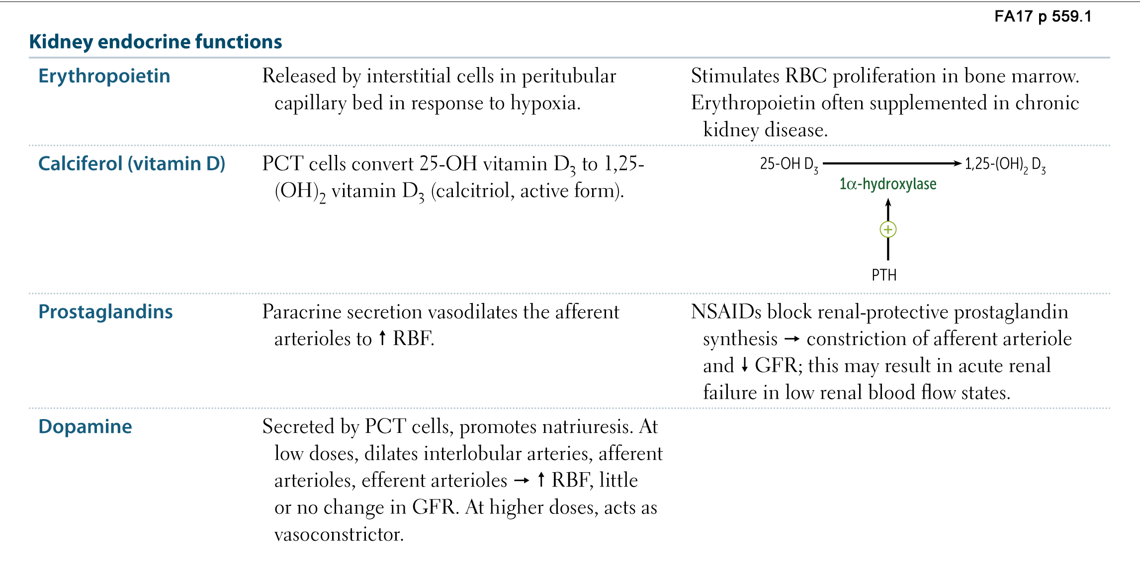 kidney hormones