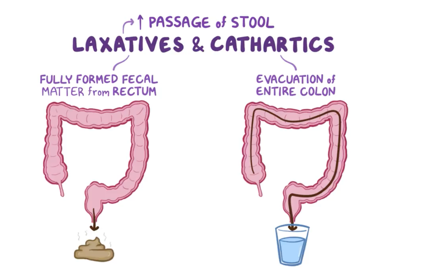 laxatives-cathartics-flashcards-memorang