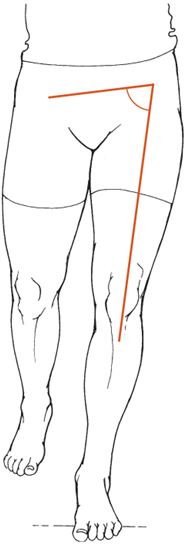 Gait Flashcards | Memorang