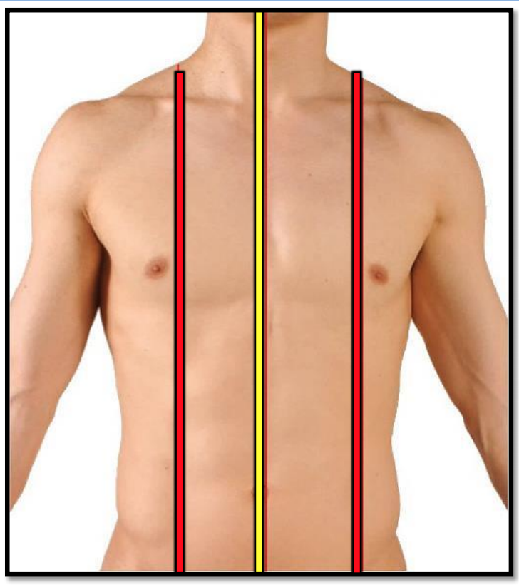 Surface anatomy thorax Flashcards