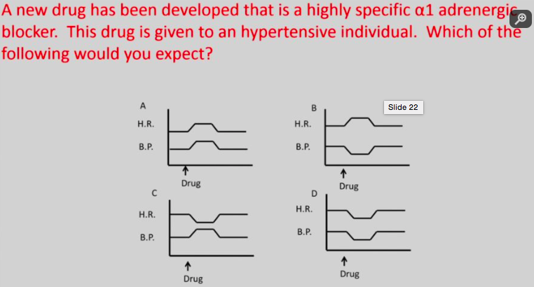 Unit 13 And 14 Pharm Flashcards preview