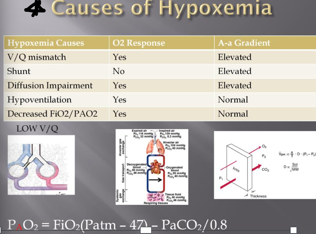 350 Rapid Response Series:Acute Hypoxemia The Curbsiders, 53% OFF