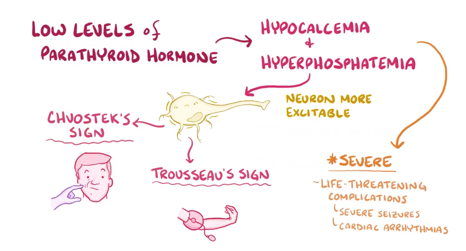 Hypoparathyroidism Flashcards | Memorang