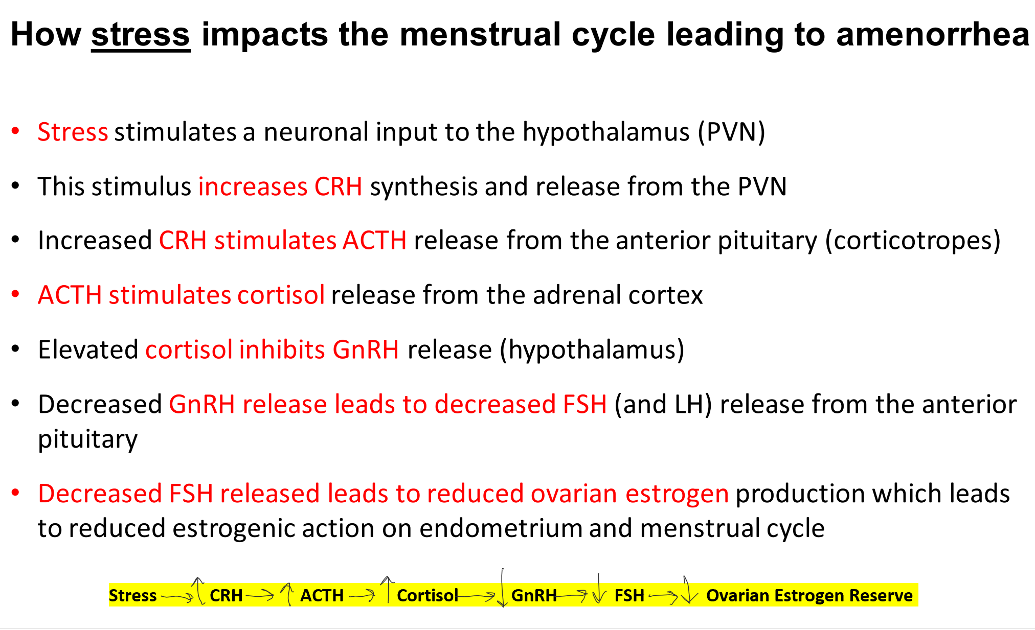 Hypothalamic Amenorrhea The One Trick That Brought My Period Back Own It Babe