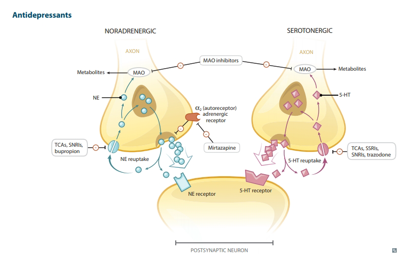 does ghk-cu cause tolerance or lose effectiveness over time GHK-Cu Copper Peptide Regeneration Review (2018)  Research Summary