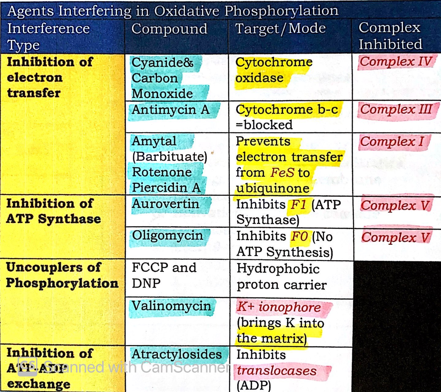 Bioenergetics flashcards memorang