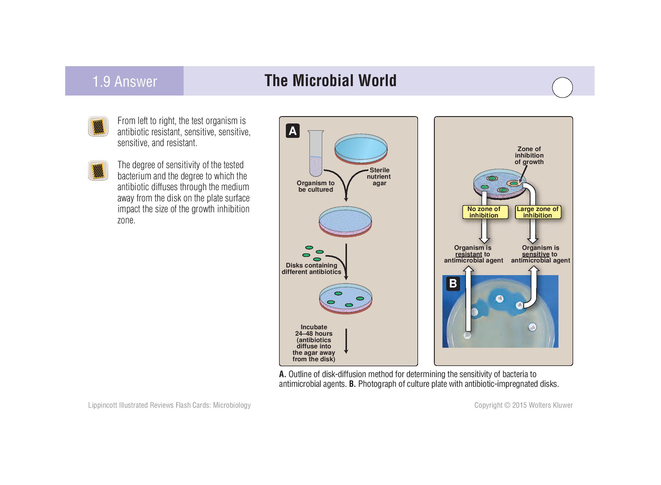 Microbiology Flashcards Memorang