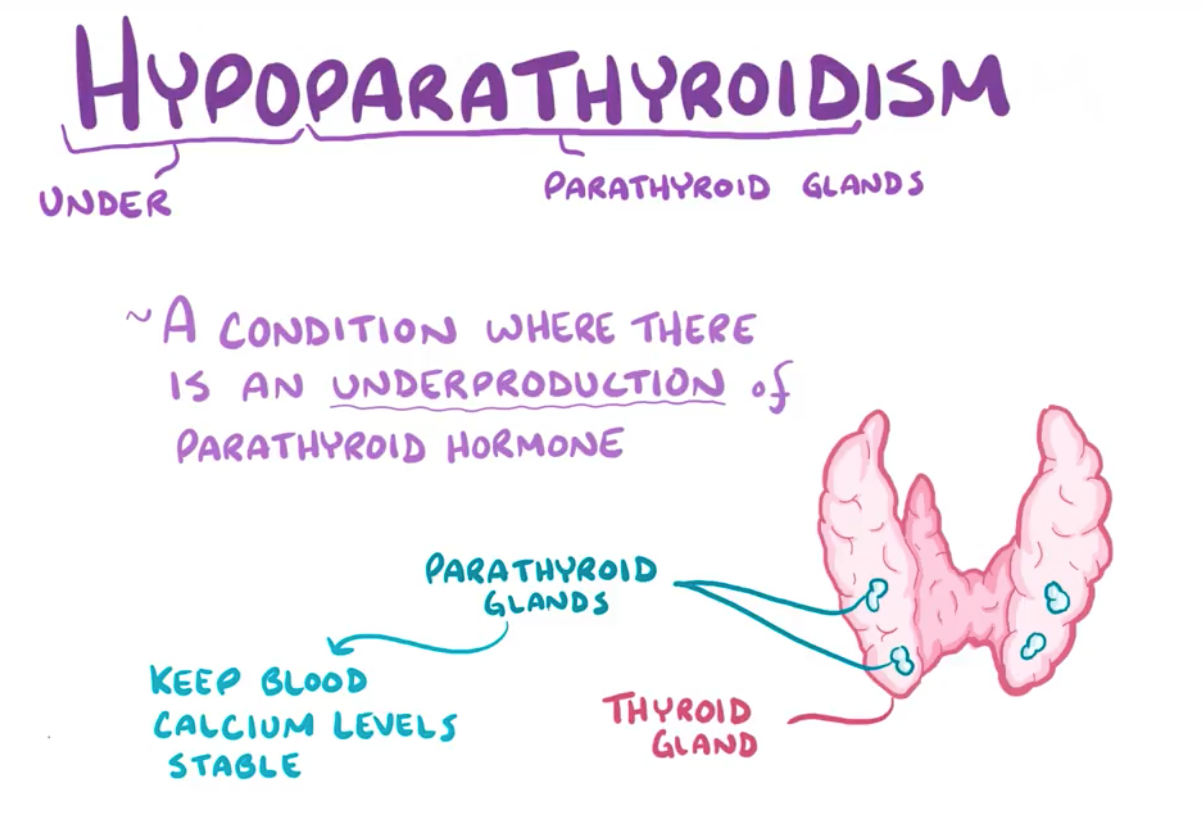 Hypoparathyroidism Flashcards | Memorang