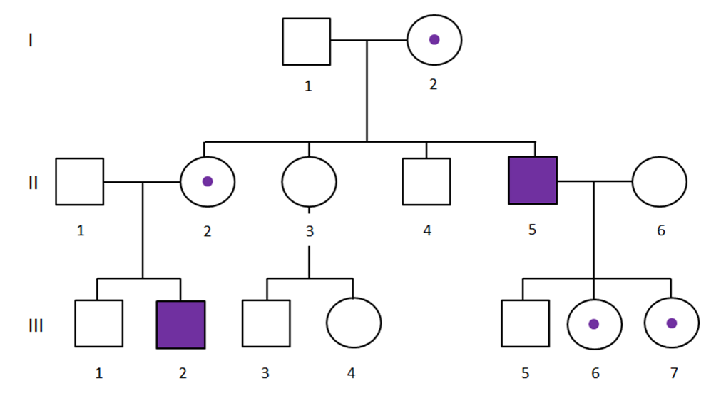 D1.Oral.Bio.1.E7.2.Patterns.of.Inheritance Flashcards | Memorang