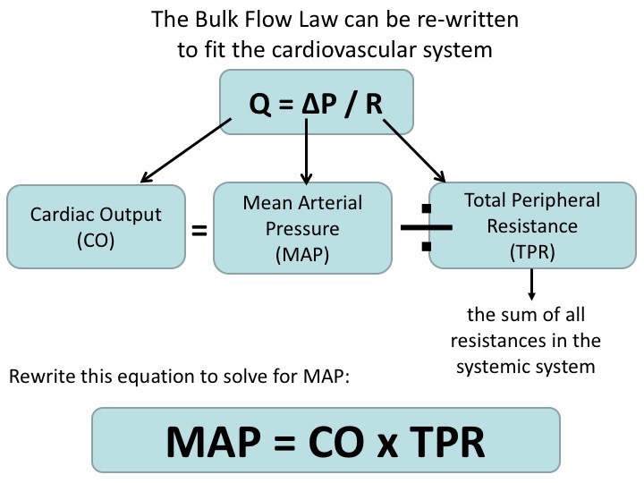 Map Co X Tpr Hemodynamics Flashcards | Memorang