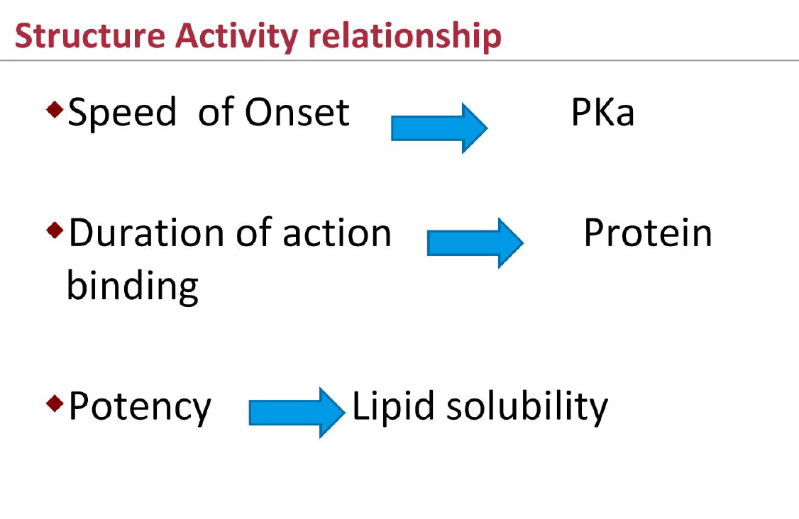 Pharmacology Local Anesthetics 3/20 Flashcards | Memorang