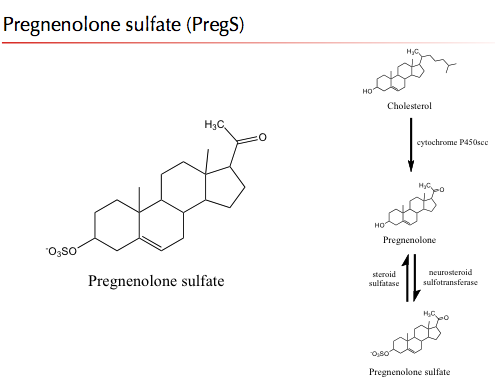 Neurosteroids Flashcards Memorang