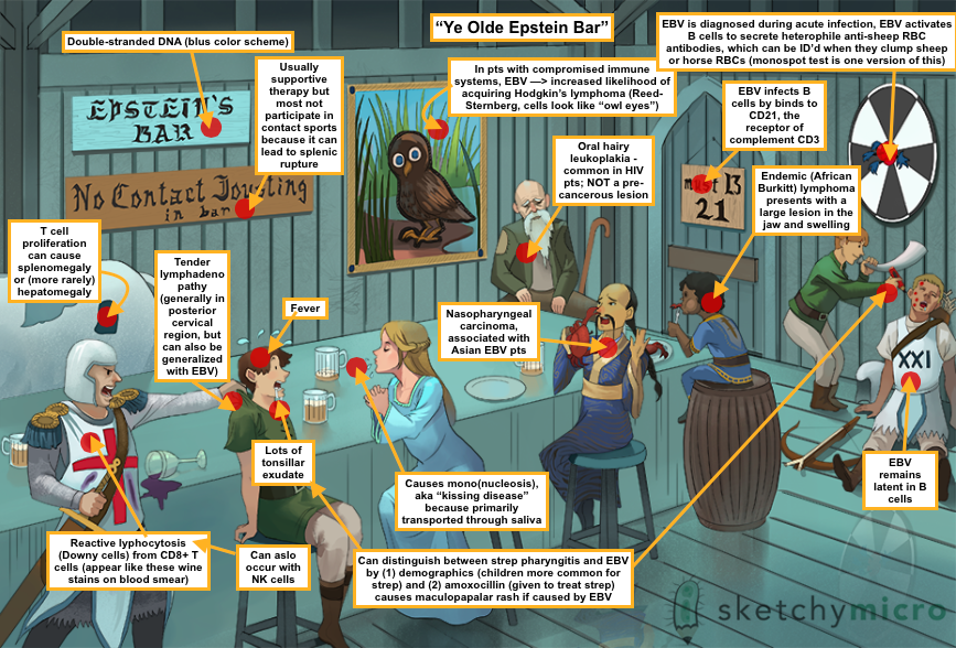 Microbiology Flashcards Memorang, 46 OFF