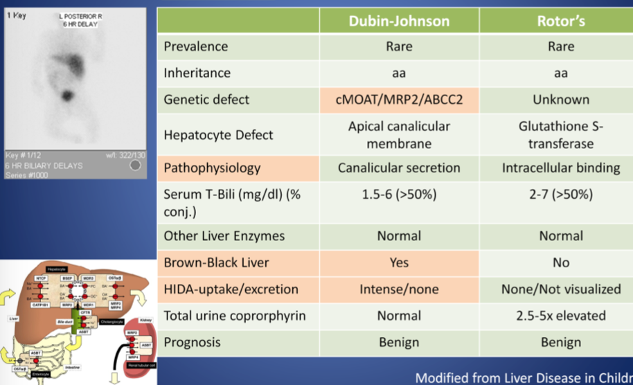 BilirubinJaundiceCholestasis Flashcards Memorang