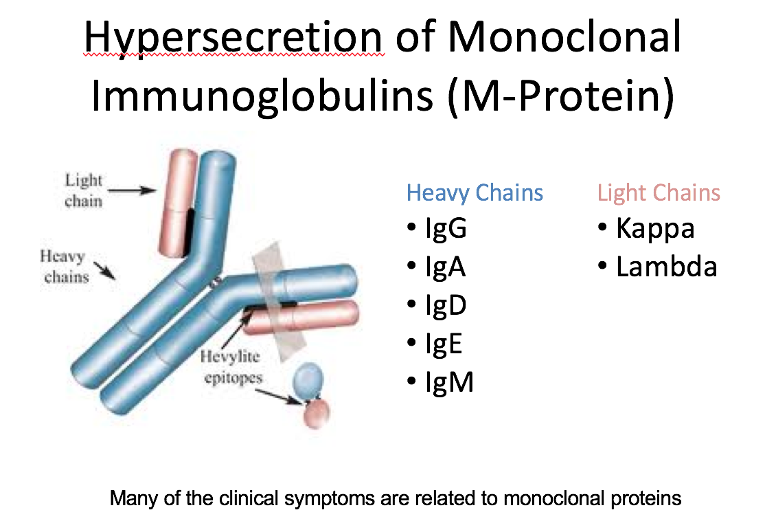 Week 4 - Plasma Cell Dyscrasia Flashcards | Memorang