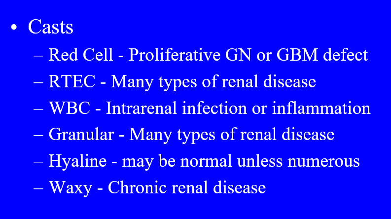 Uri One Rbc Casts urinalysis Flashcards | Memorang