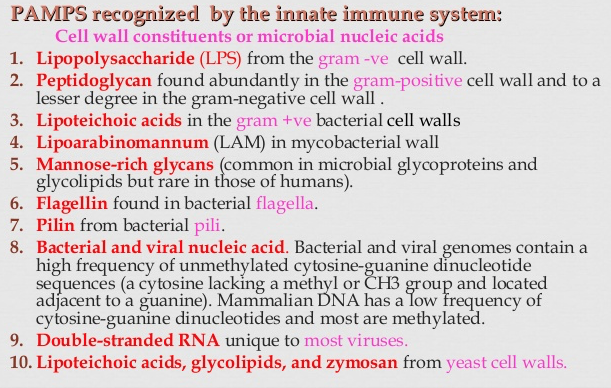 Immunology Flashcards Memorang